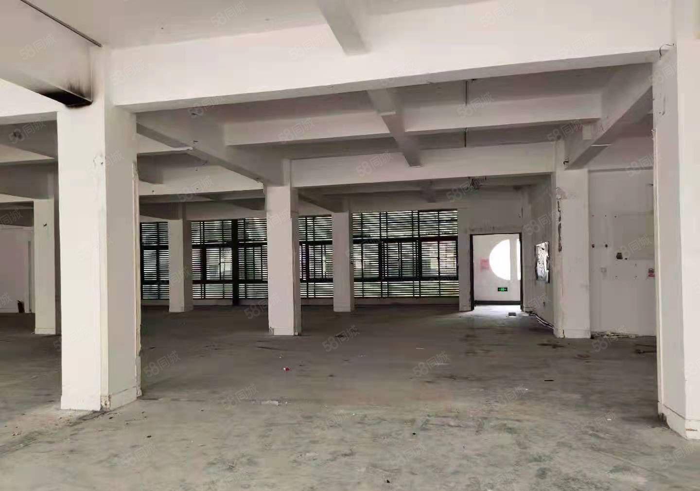 塘坑地铁站五百米厂房1300平米招租