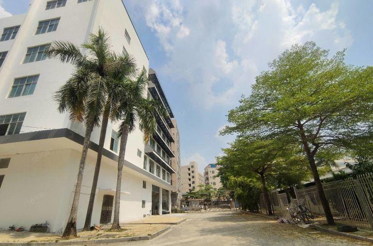 布吉李朗地铁站附近独栋18000平红本厂房出租500起分。