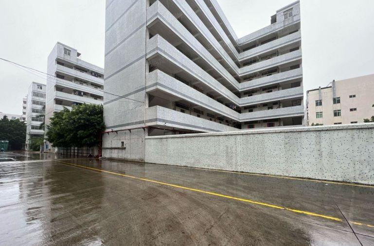 超长免租期，横岗六约珠宝基地500平，大小分租，不限行业