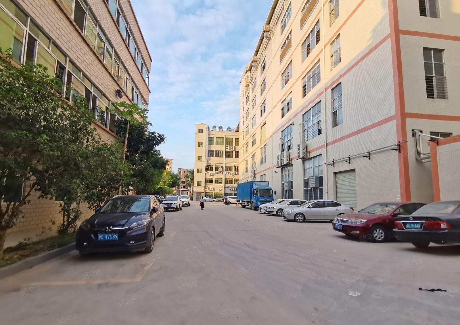 龙岗南联地铁口旁原房东800平厂房出租200平起租公摊小