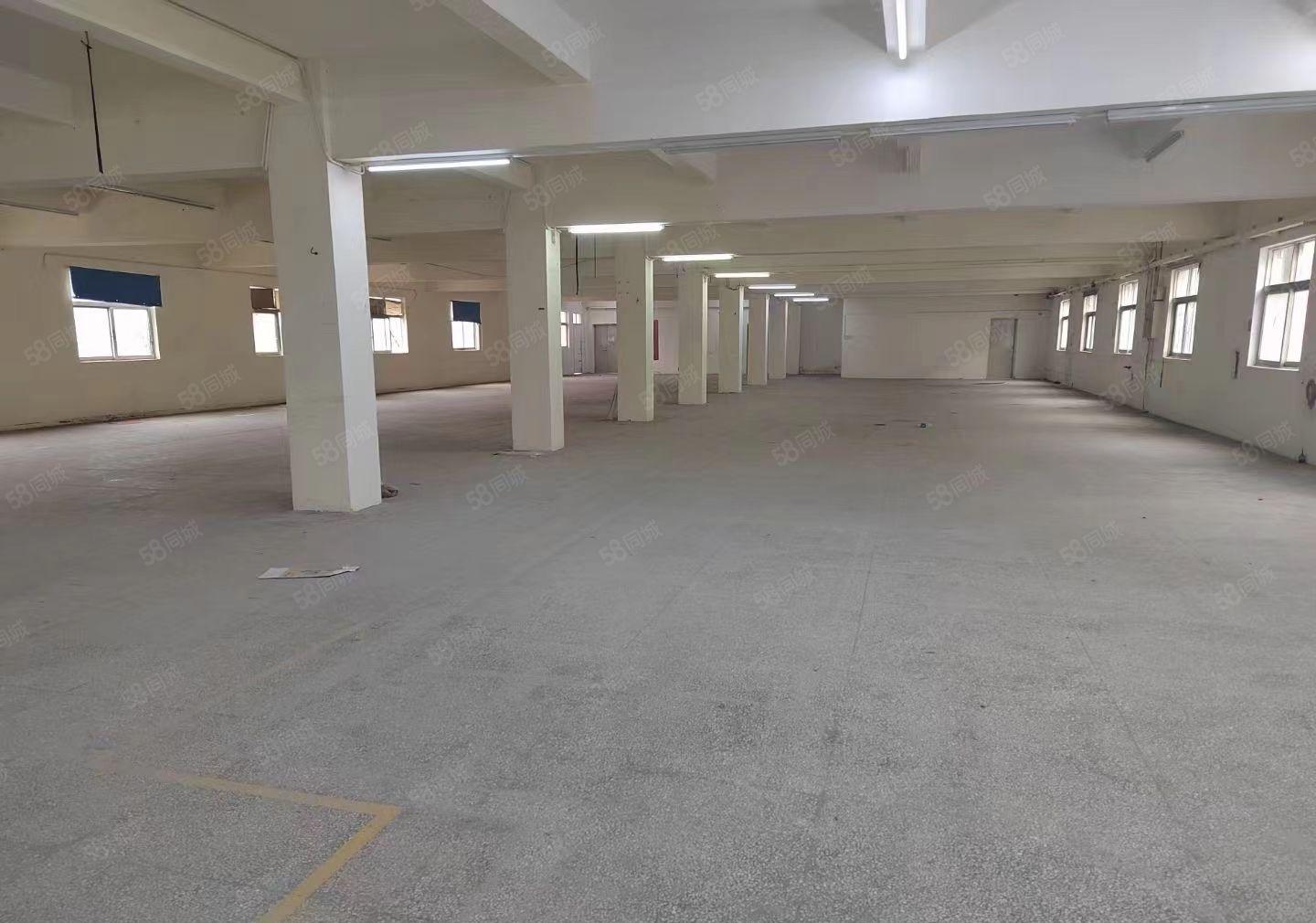 横岗新出独院5400平方，空地超大