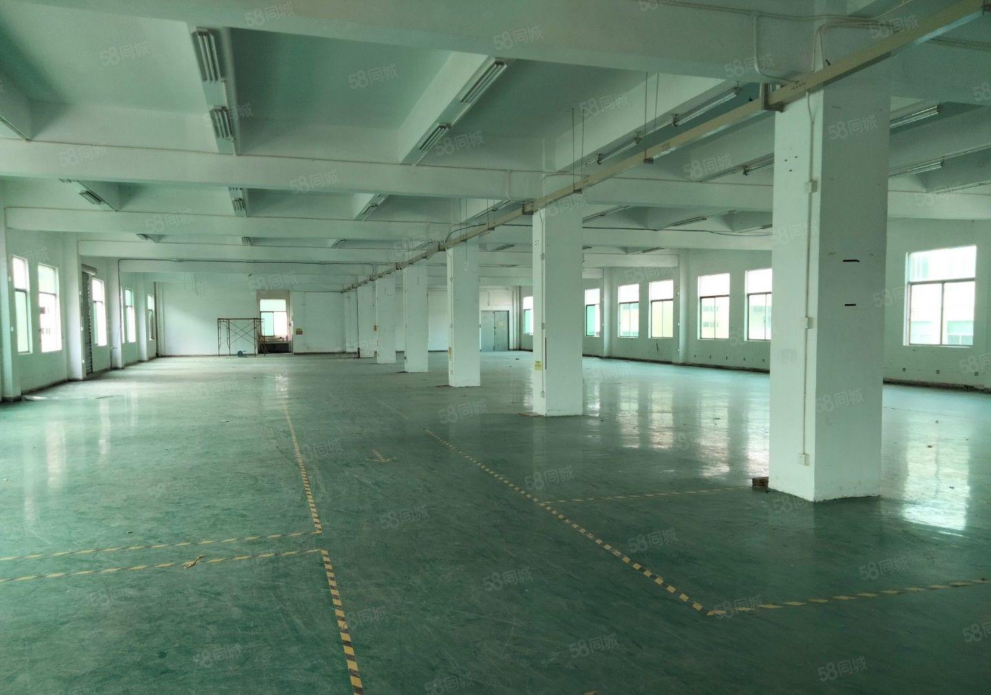 （出租）龙岗中心城原房东独门独院精装修红本厂房大小分租