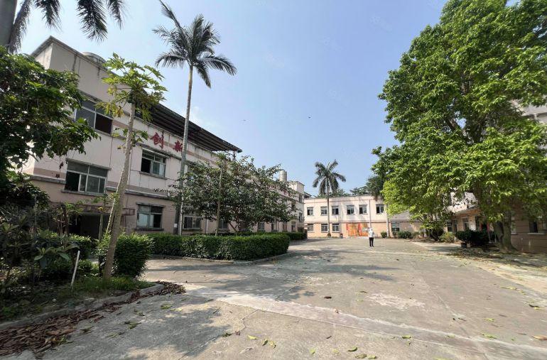 带红本可分租村委直租横岗西坑4000平方独门独院仓库厂房出租