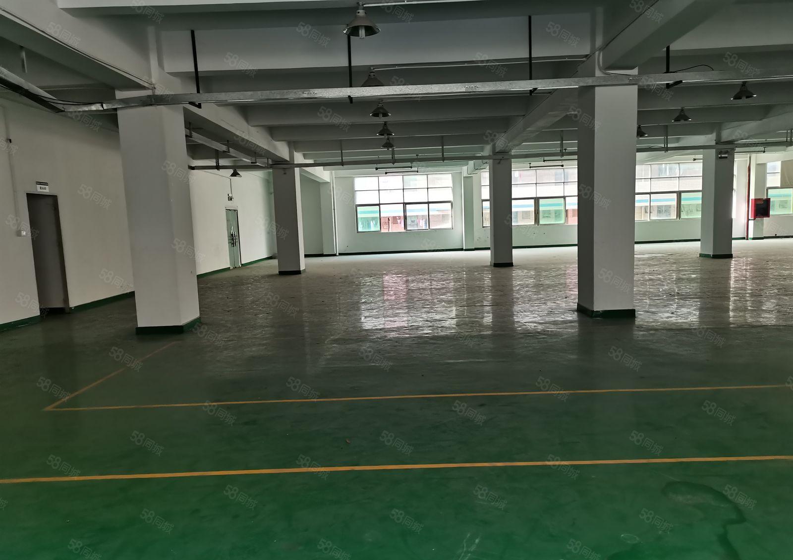 17元起龙岗五联工业园1000平厂房仓库出租200平起分租