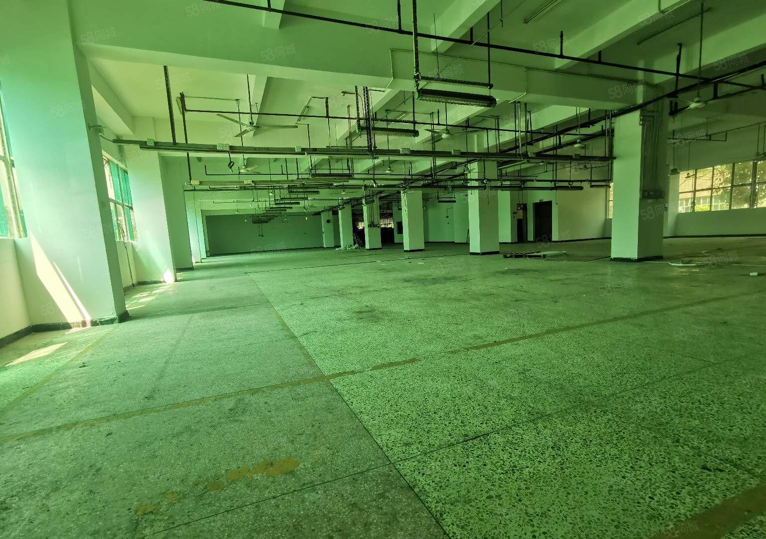 吉华街道原房东花园式厂房仓库出租一楼！楼上2000平可分租！