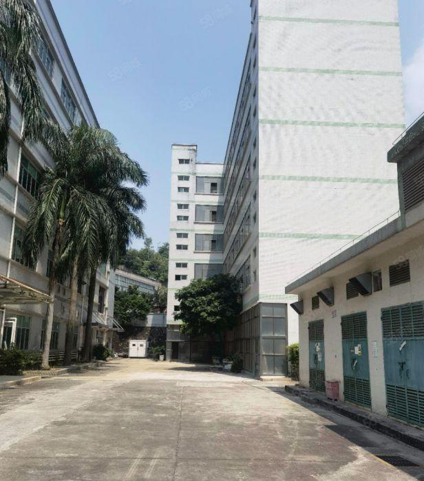 龙岗五联独门独院1000平出租，靠山环境清幽