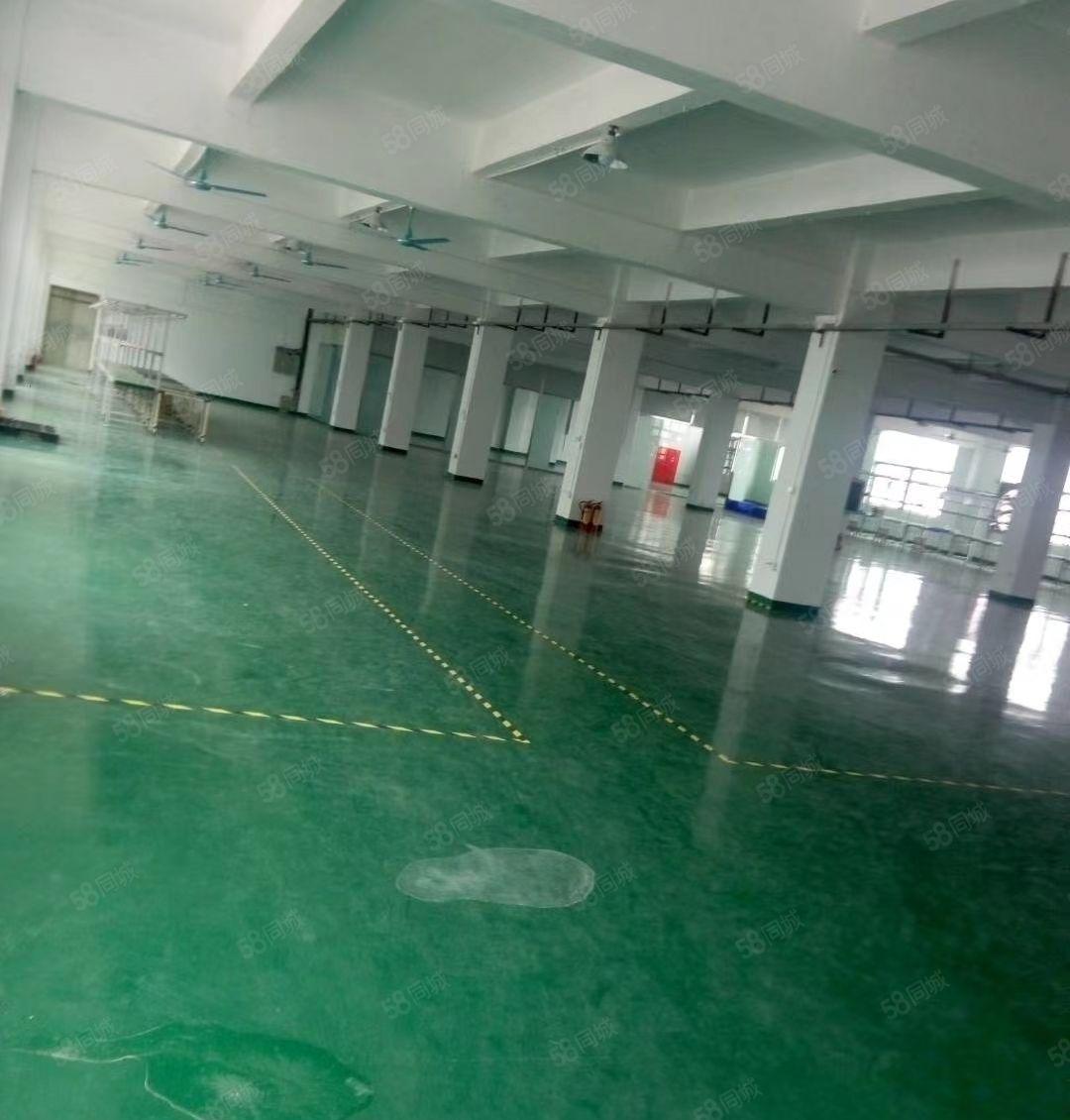 平湖原房东独院3000平方带装修厂房出租