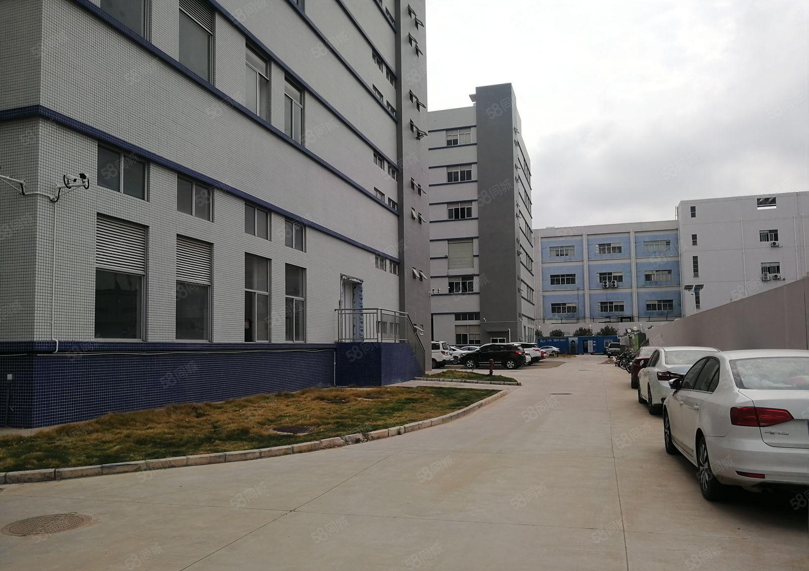 横岗新出标准一楼厂房1000平米原房东红本厂房