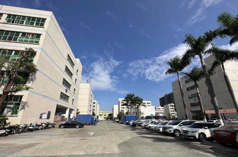 50平起租平湖禾花地铁口电商产业园精装修厂房仓库出租可环评