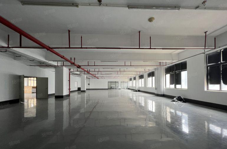 23元租坂田雪象园区电商仓库厂房1500平方分租精装修空地大