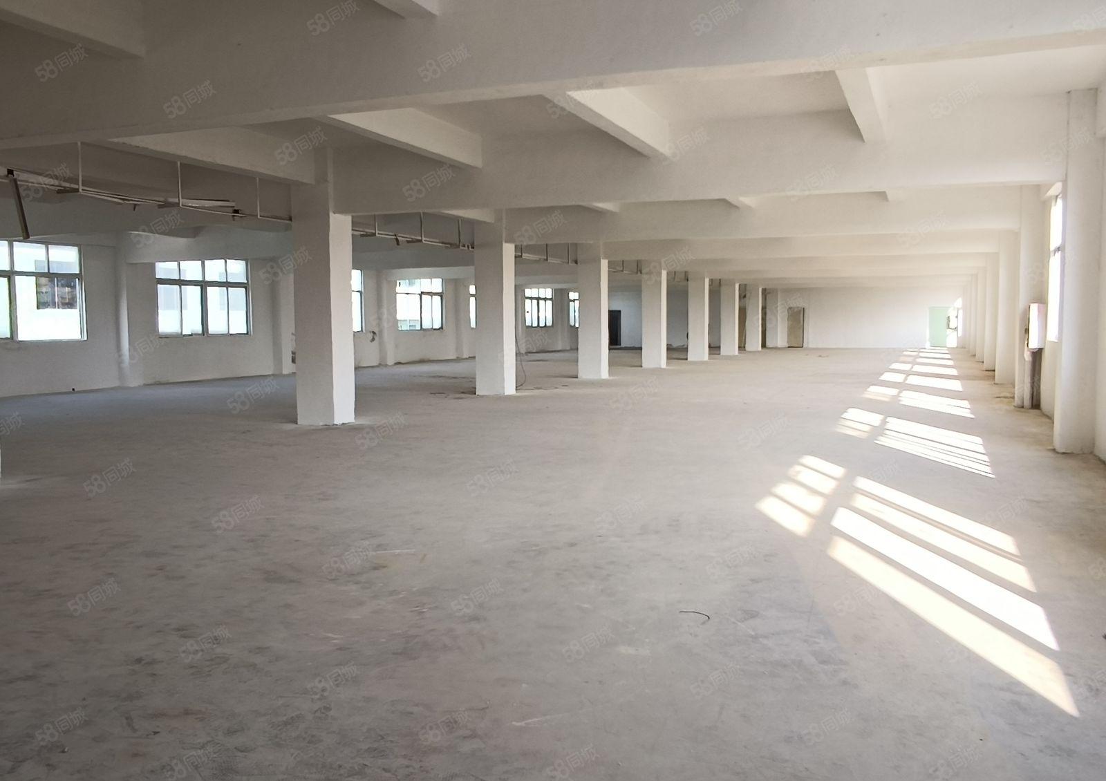 龙岗同乐新出8600平米独院厂房出租