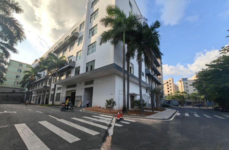 龙岗爱联原房东大型工业园楼上1000平方带精装办公室厂房出租