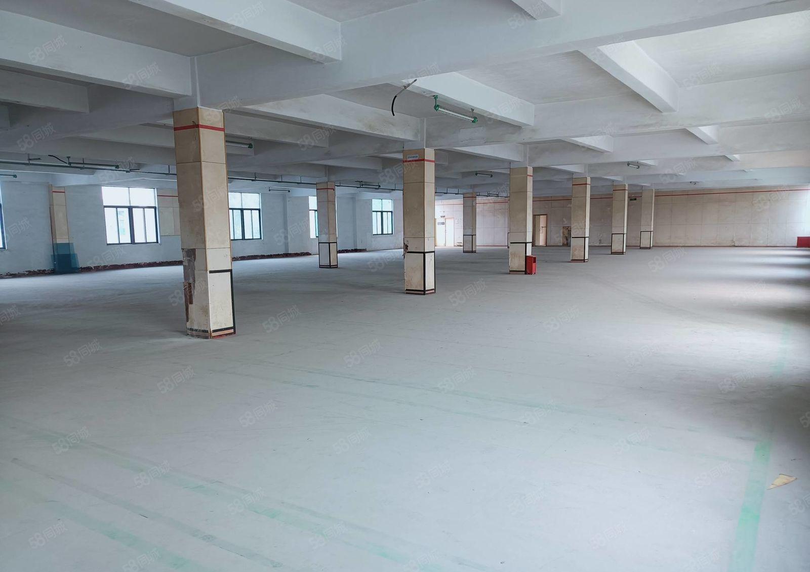 平湖华南城单层1781平米厂房业主招租高新技术产业园