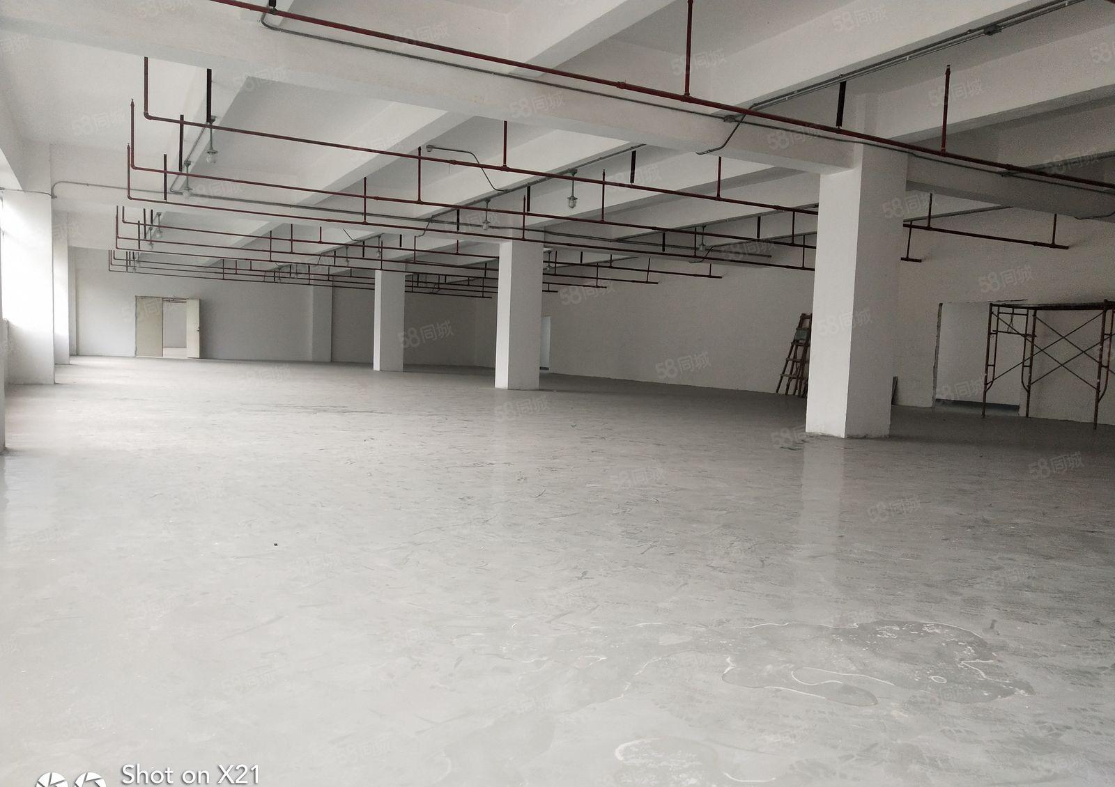 坂田独院厂房8000平米，大小分租，可分租300，500平米