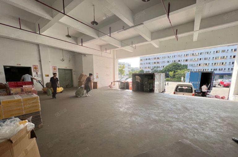 横岗原房东一楼红本实际面积出租有装修带卸货台能办环评！