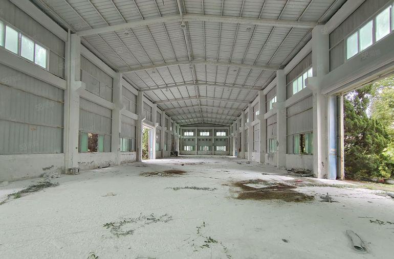 龙岗区宝龙3000平钢构独门独院滴水七米低价出租形象好空地大