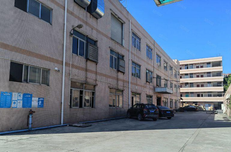 平湖独院新出一楼1580平方厂房仓库出租可分租空地大交通方便