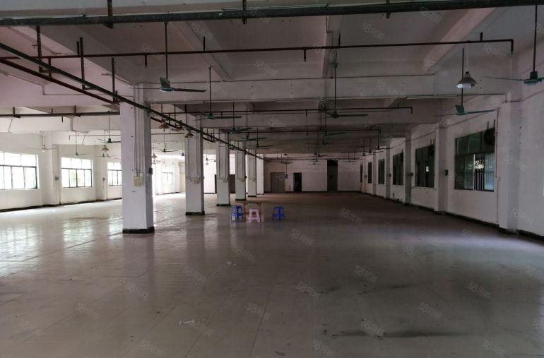 17元起租平湖上木古独门独院7600平方米厂房仓库出租可分租