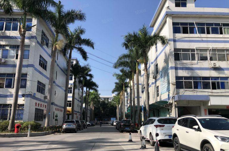 可分租爱联原房东科技园新出1000平方带装修办公仓库厂房出租