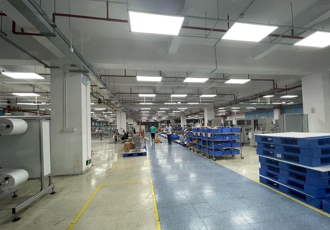 龙岗同乐社区1000平厂房出租，单层1000平可整租可分租