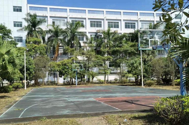 横岗六约工业区12000平独院厂房出租，可办环评，可分租