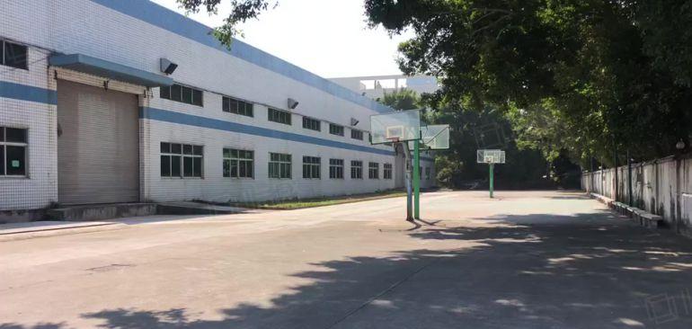 宝龙原房东物流仓新空出一栋3000平方带卸货平台仓库厂房出租