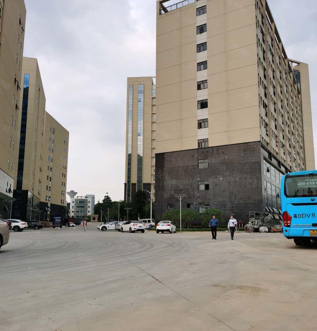 龙岗中心城高速附近新出5000平红本厂房仓库500平起分租