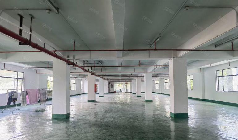 坂田厂房出租1楼至6楼200平起租可办公物流仓库汽修展厅等