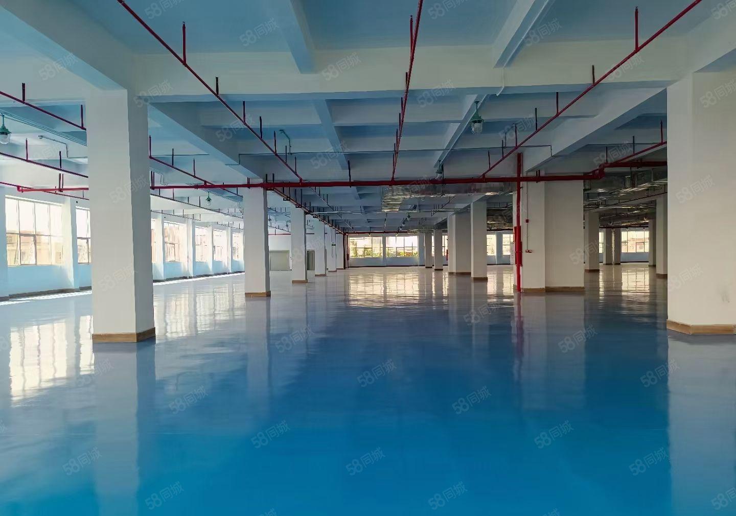 横岗地铁站亚泰工业园原房东红本2楼2000平方带装修水电齐全