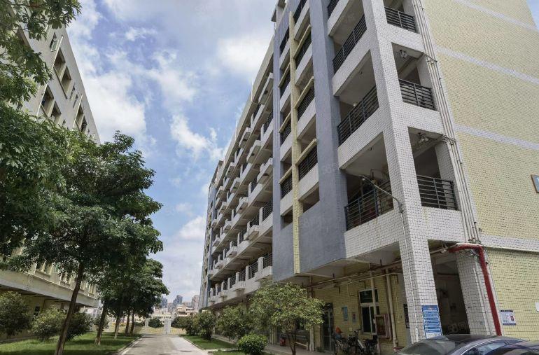 6米高一楼2000平红本厂房仓库出租，过环评峰谷平宝龙比亚迪