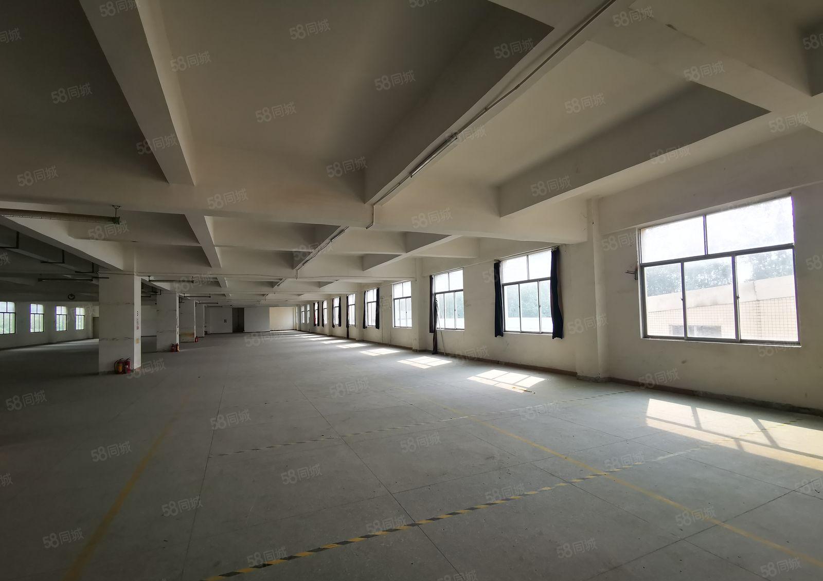 龙岗中心城大型工业园单层2000平带红本厂房仓库出租，可分租