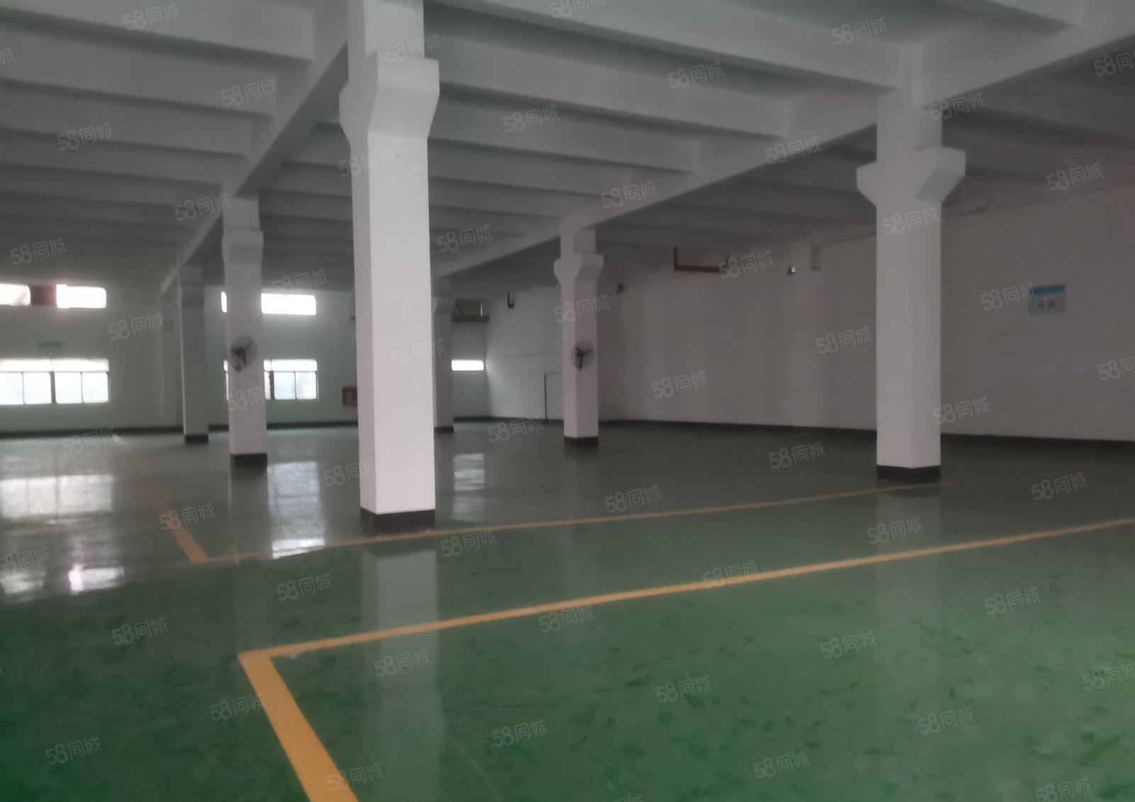 平湖富民标准一楼2000平方带牛角厂房出租