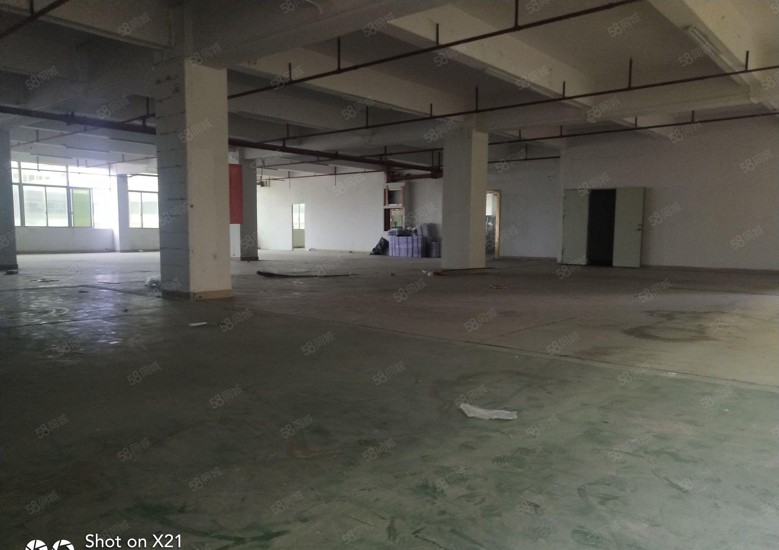 平湖白泥坑独院厂2700平米带冻库平米出租，可分900