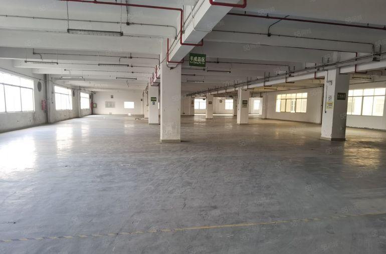 龙岗宝龙同乐工业区红本厂房仓库1200平可分租可办环评易招工