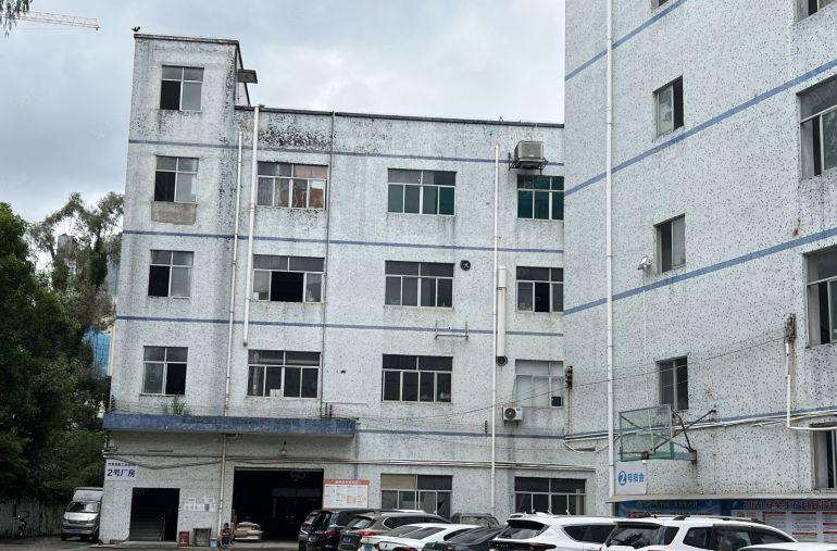 龙岗区五联社区道一楼560平标准厂房低价出租带装修可分租