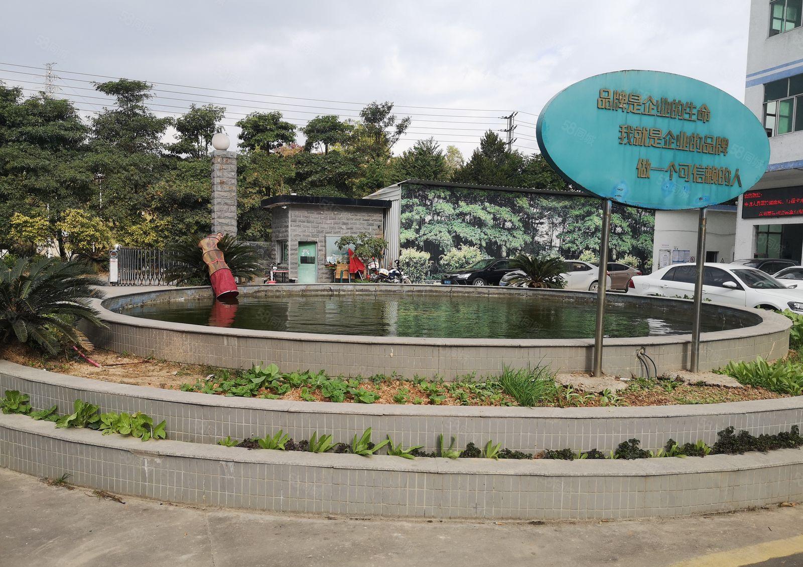 坪地六联新出750平米一楼厂房出租