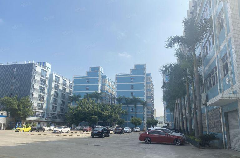 龙岗坪地低碳城原房东科技园1楼1000平厂房出租 大小分租