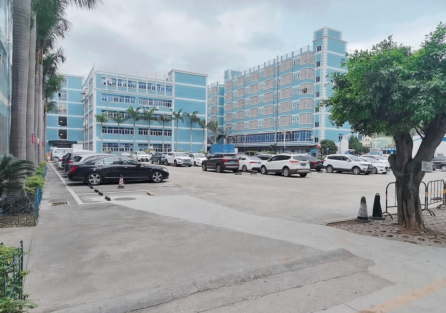 300平起分南联原房东一楼二楼各1000平方水电齐全 精装修