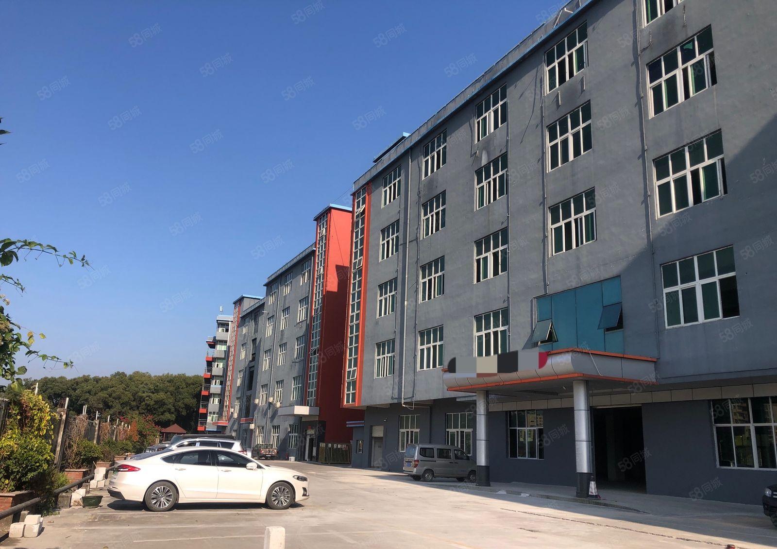 坂田工业区新空出楼上500平方带精装修办公室前台厂房出租