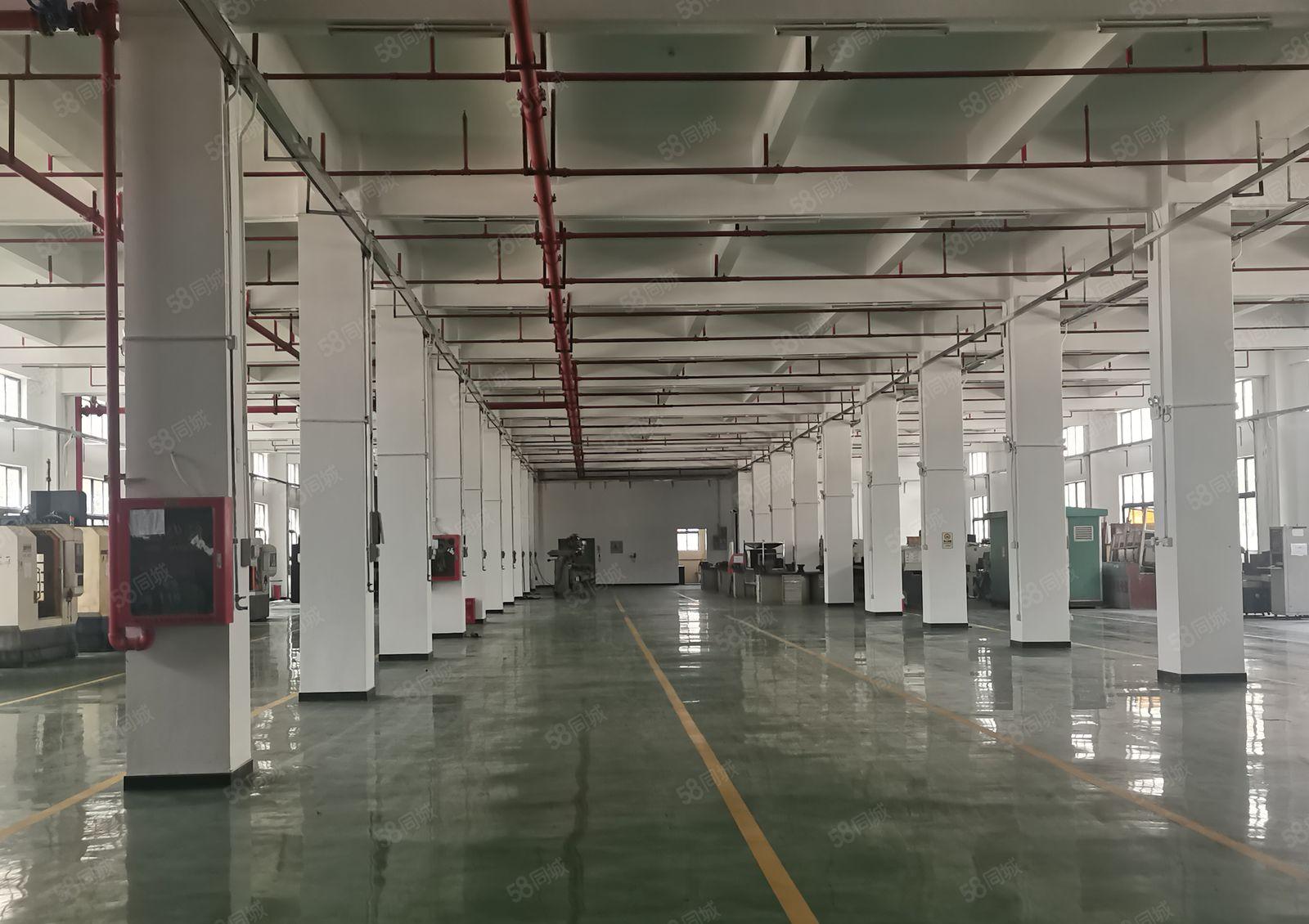 2500平起分龙岗宝龙独栋10000平厂房出租一楼层高6米