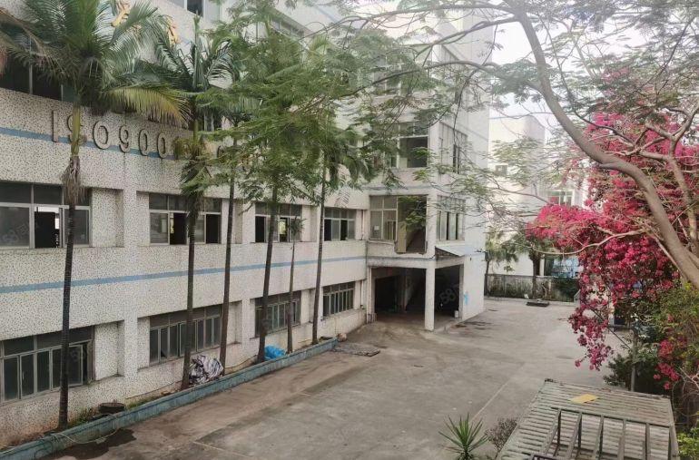 平湖辅城坳工业区独门独院厂房四层楼5600平米招租园区带花园