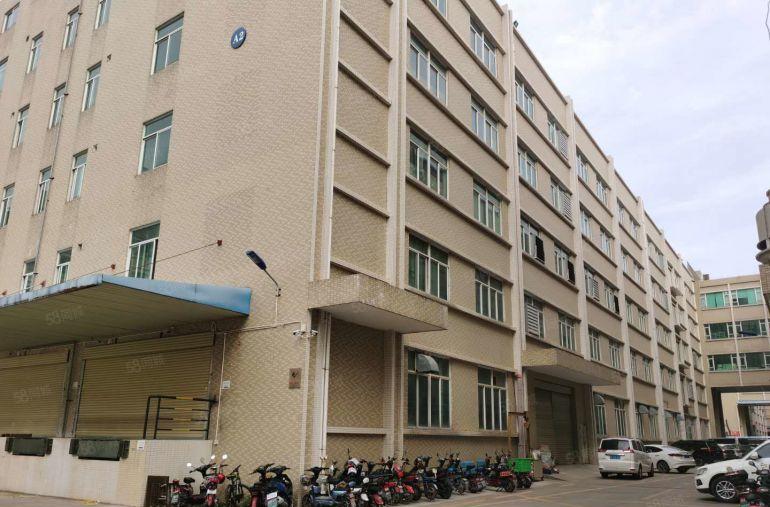 横岗嶂背工业园区一楼300平米出租