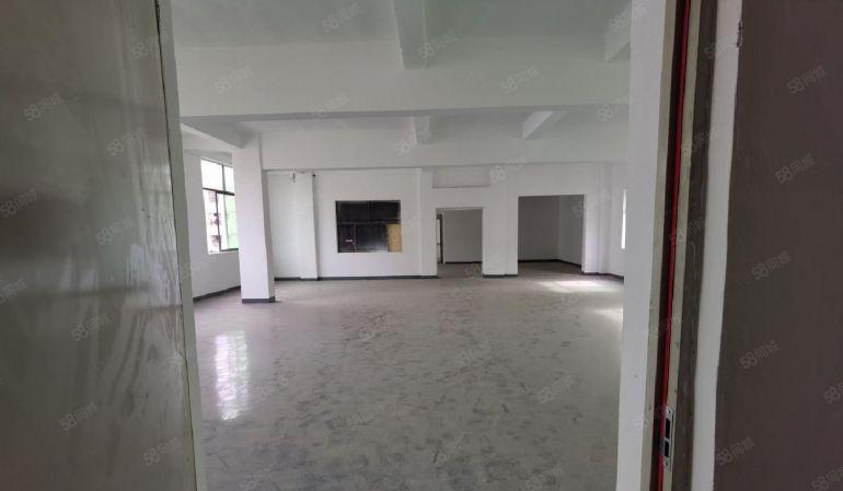 塘坑地铁站全新装修240平厂房