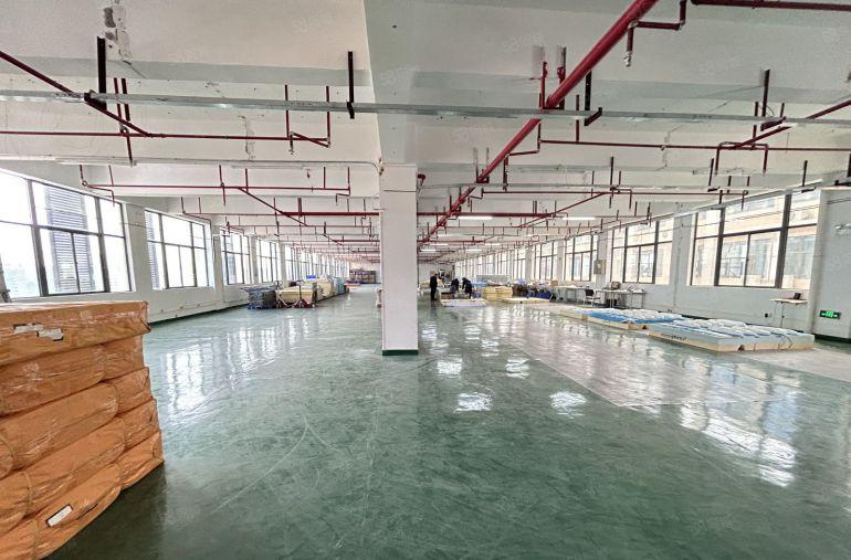 19元租龙岗爱联精装修带办公室仓库厂房出租300平起租