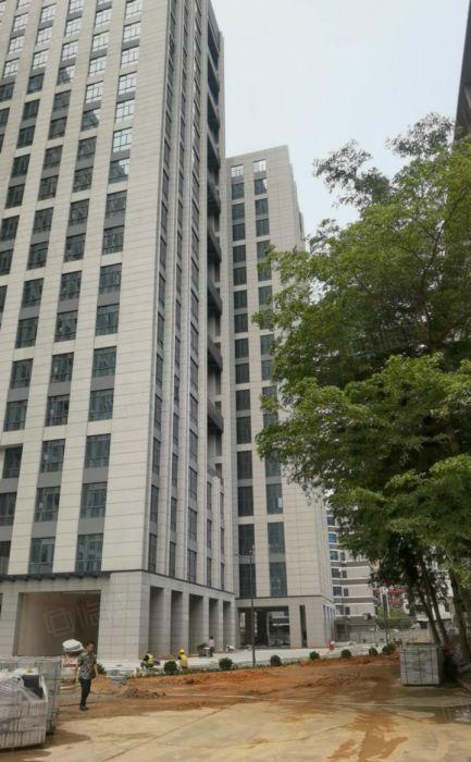 龙岗宝龙比亚迪旁研发办公基地100至2000平红本厂房出租