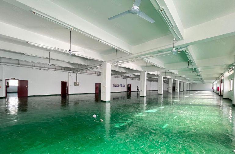 坂田上雪原房东大型科技园新空出5000平方 大小可分形象好