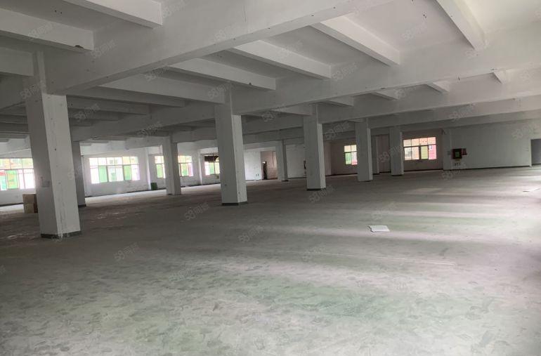 龙岗龙东义乌小商品城附近3楼1000平厂房仓库出租报价14元