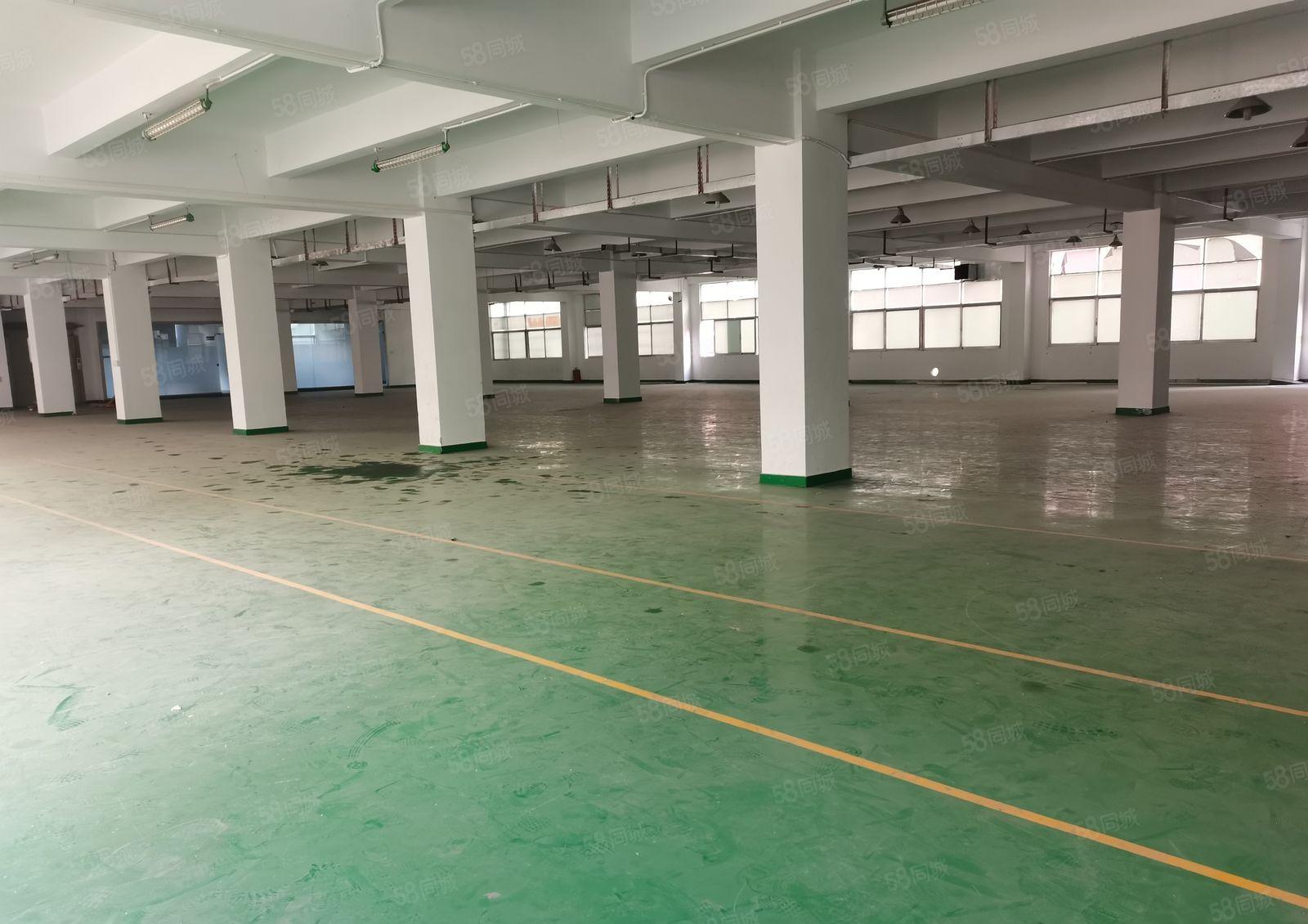 17元起龙岗五联工业园1000平厂房仓库出租200平起分租