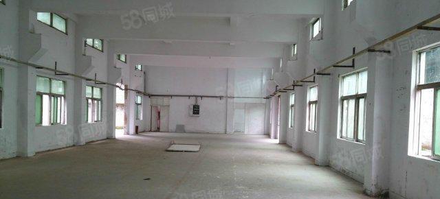 原房东厂房 横岗六约一二楼500平 带装修 可分租 上水高速