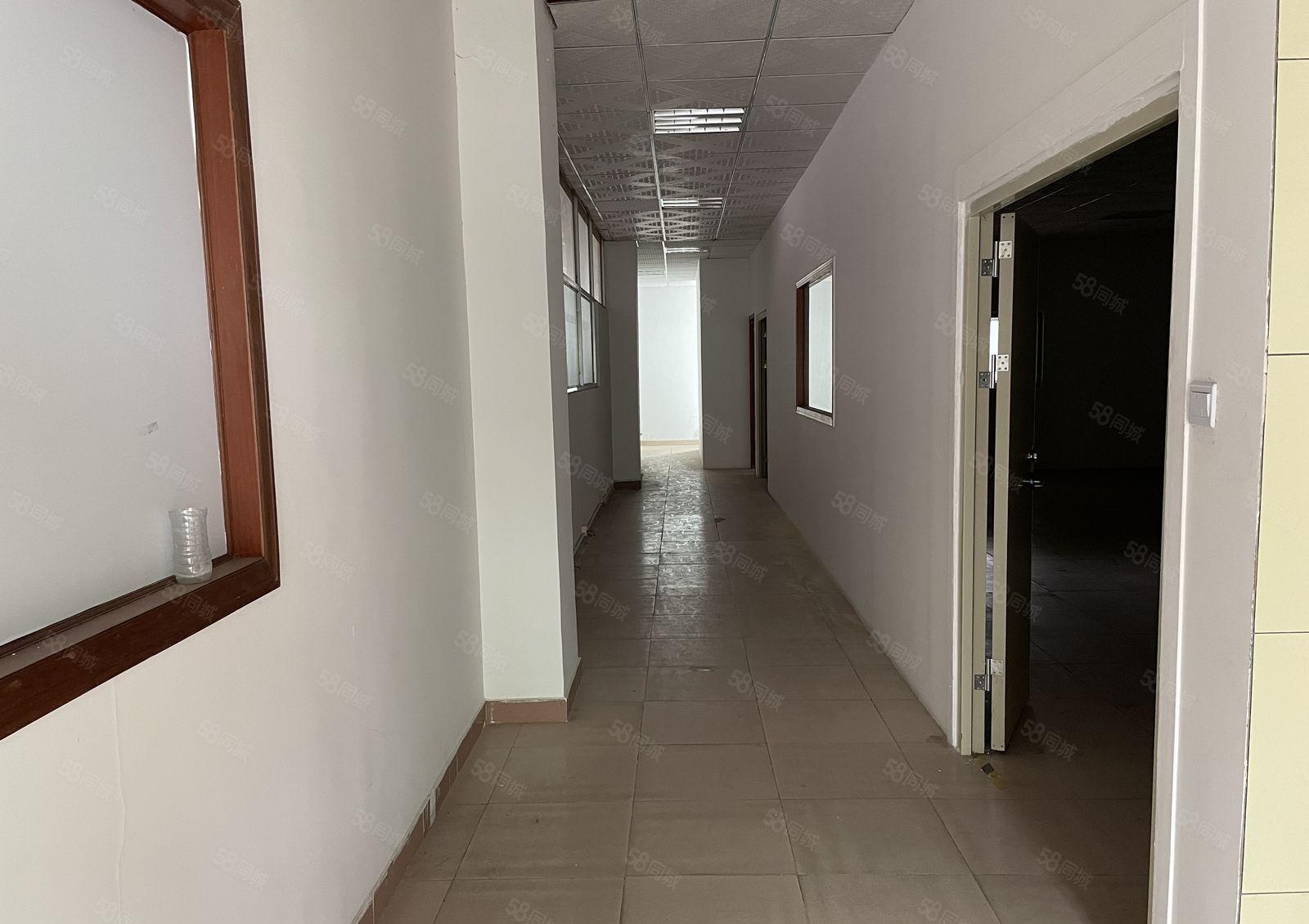 带装修三楼290平方价格实惠出租横岗坳背